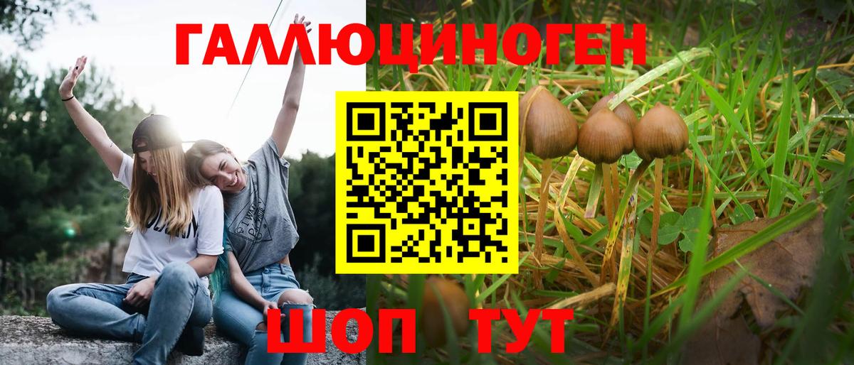 Великие Луки  Галлюциногенные грибы прущие грибы  Вход с VPN  Псилоцибиновые грибы GOLDEN TEACHER 