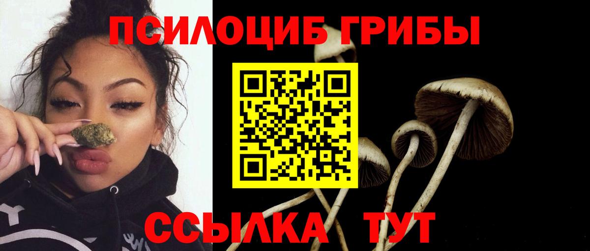 Галлюциногенные грибы GOLDEN TEACHER Великие Луки